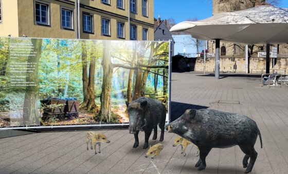 Wildschweine tierisch nah Stadtmarketing Witten GmbH.jpg